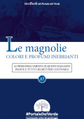 img Le Magnolie Colori e Profumi Inebrianti (2021)