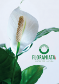 img Floramiata (2020)