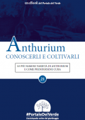 img Anthurium Conoscerli e Coltivarli (2021)