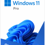 img Windows 11 Pro 22000.258 [ multilingual] Full