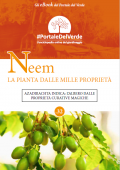 img Neem la Pianta dalle Mille Proprietà (2021)