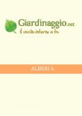 img Giardino - Alberi 6 (2021)