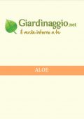 img Erboristeria - Aloe (2021)