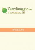 img Arredamento Giardino - Barbecue 1 (2021)