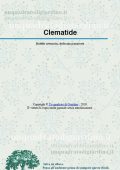 img Un Quadrato di Giardino - Clematide (2021)