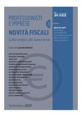 img Luca De Stefani - Professionisti e imprese. NOVITA