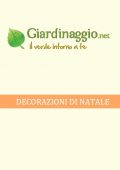 img Natale - Decorazioni di Natale (2021)
