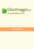 img Erboristeria - Decotti (2021)