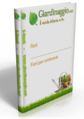 img Fiori - Fiori per Cerimonie (2021)