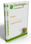 img Terrazzo - Giardino in Terrazzo (2021)