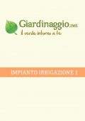 img Giardinaggio - Impianto di Irrigazione 1 (2021)