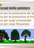 img La Potatura (2021)