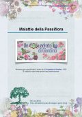 img Un Quadrato di Giardino - Malattie della Passiflora (2021)