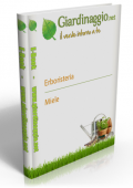 img Erboristeria - Miele (2021)