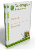 img Erboristeria - Oli Essenziali (2021)