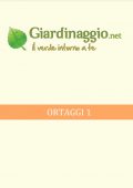 img Orto - Ortaggi 1 (2021)