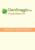 img Giardinaggio - Parassiti delle Piante (2021)