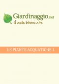img Giardino - Piante Acquatiche 1 (2021)