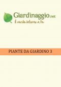 img Giardino - Piante da Giardino 3 (2021)