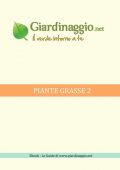 img Piante Grasse (2021)