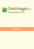 img Giardino - Rose 2 (2021)