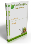 img Erboristeria - Sciroppi (2021)