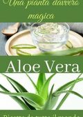 img S.Isabella - Una pianta davvero magica: Aloe Vera (2021)