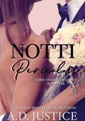 A.D. Justice - Steele Security Vol. 3. Notti pericolose (2018)