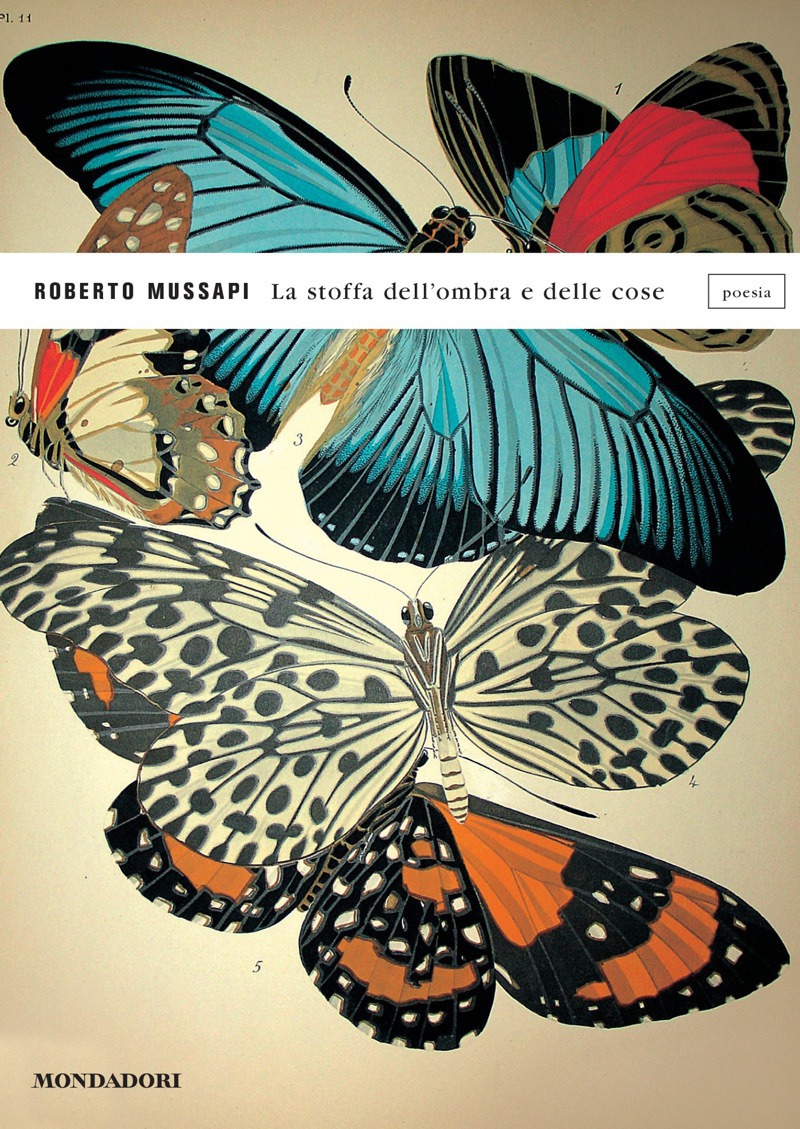 Roberto Mussapi – La stoffa dell’ombra e delle cose (2016)