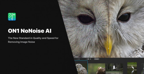 ON1 NoNoise AI 2022.1 v16.1.0.11675