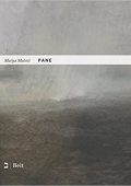 img Matija Malesic - Pane. Racconto della Slovenska krajina (2015)