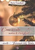 Sara Cordioli - Terremoti dell'anima 04. Cosa accade sotto il vischio (2017)