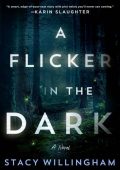 img Stacy Willingham - A Flicker in the Dark (2022) ENG