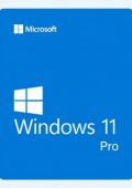 img Windows 11 Pro 22000.493 - FULL