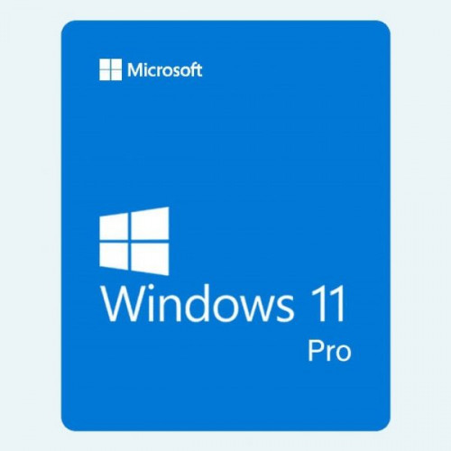 Windows 11 Pro 22000.493 – FULL