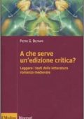 img Pietro G. Beltrami - A che serve un