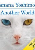 img Banana Yoshimoto - Another World (2018) (mp3 - 64 kbps)