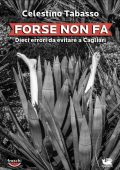 img Celestino Tabasso - Forse non fa (2013)