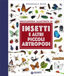 Manuela Busà – Enciclopedia illustrata di insetti e altri piccoli artropodi (2022)