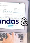img Udemy - Corso pratico di Pandas e Python con esempi per data mining (Update 01-2026) - Ita