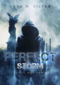Anya M. Silver - Lethal Men Vol. 4. Perfect storm (2017)