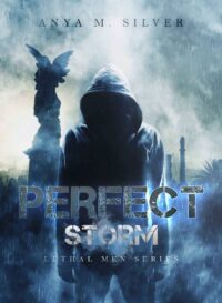 Anya M. Silver – Lethal Men Vol. 4. Perfect storm (2017)