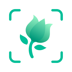 [ANDROID] PictureThis Identificar Planta Premium v5.10.0 Mod .apk – ITA