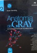 Susan Standring - Anatomia del Gray. Le basi anatomiche per la pratica clinica - Vol. 2 (2008)
