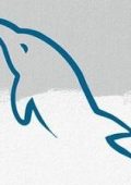 Udemy - Impara Rapidamente Le Basi Di Mysql 8.0 - ITA