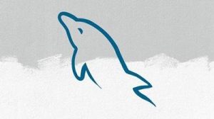 Udemy – Impara Rapidamente Le Basi Di Mysql 8.0 – ITA