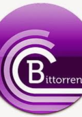 [PORTABLE] BitTorrent Pro v7.11.0.47229 Portable - ITA