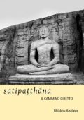 AA.VV - SATIPAṬṬHĀNA il cammino diretto  (2018) PDF