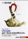 Ugo Amaldi -  Onde, campo elettrico e magnetico Con Physics in english (2012) PDF