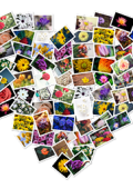 [MAC] FigrCollage 3.3.7 macOS - ENG